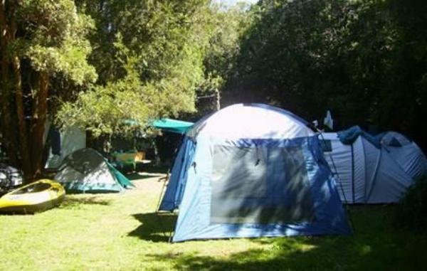 Foto del camping Los Copihues, Puyehue, Los Lagos, chile