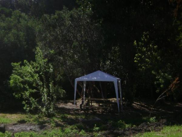 Foto del camping Parque Nativo, Los Ángeles, Biobío, chile